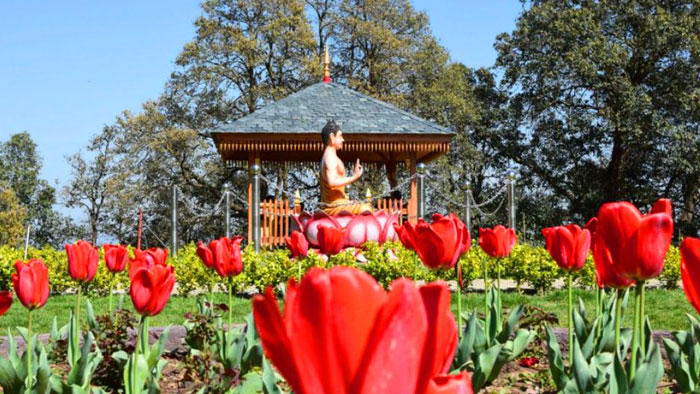 Tulip Gardens at Nature Park Craignano